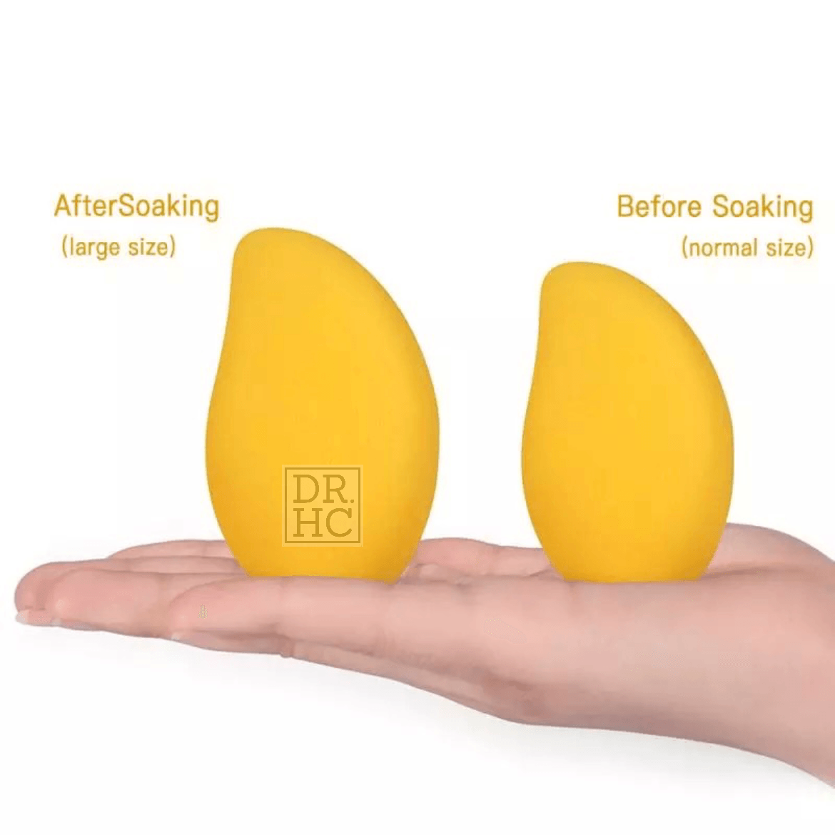 DR.HC Mango 3D Makeup Sponge (makeup puff for liquid foundations, loosed & pressed powders...)