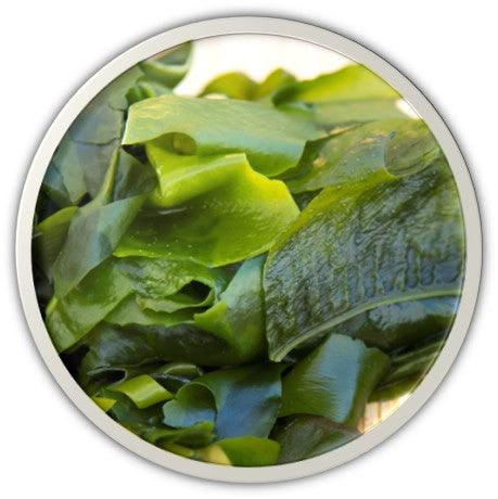 DR.HC Wakame Seaweeds Gel (25g, 0.9oz) (Soothing, Anti-acne, Skin Firming, Hydrating, Skin toning...)